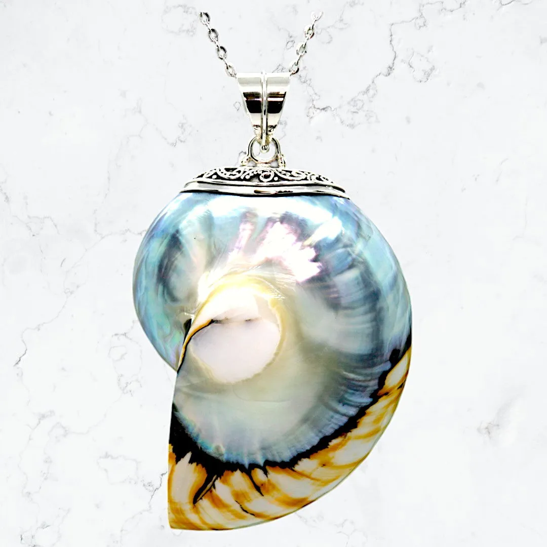 Tiger Natural Nautilus Pearl Shell Necklace